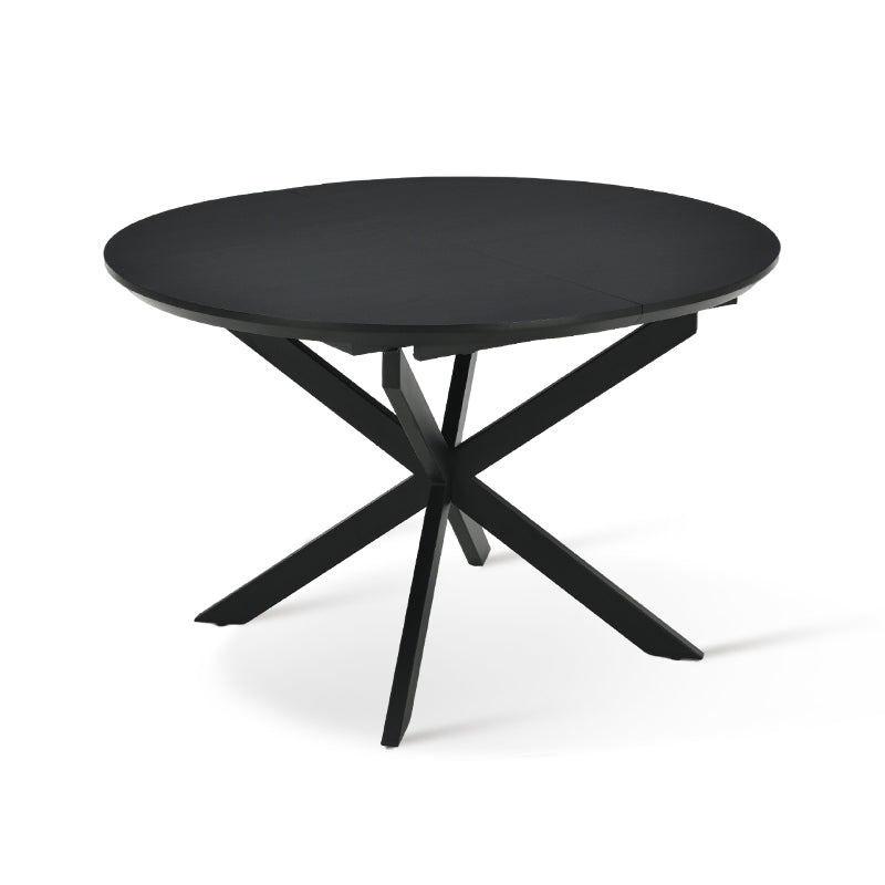 Table Ronde Noire – Style Copenhague – 120 Cm – Bois Et Chêne – Occasion