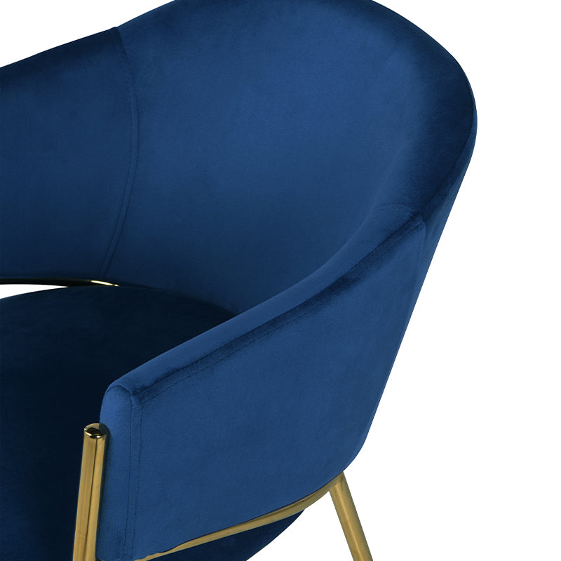 Fauteuil salle à manger Dalila [Lot de 2] [Velours]